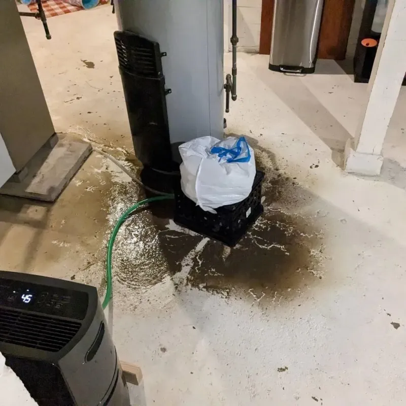 Sewage Backup Cleanup Service in Barbour County, WV
